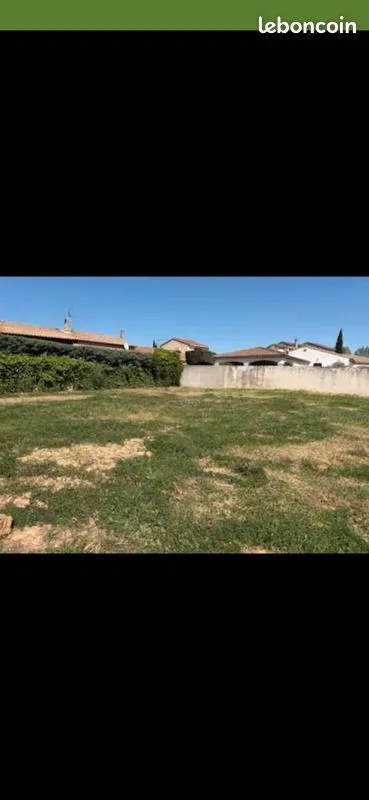 Terrain