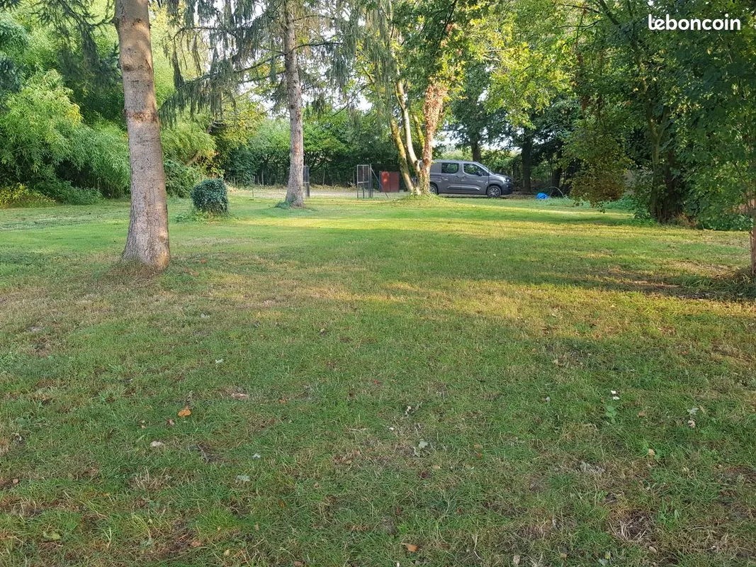 Terrain