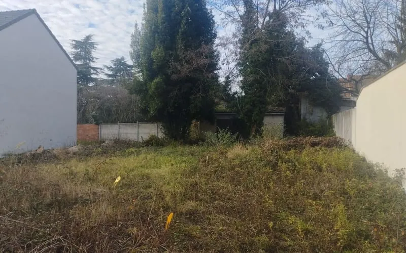 Terrain