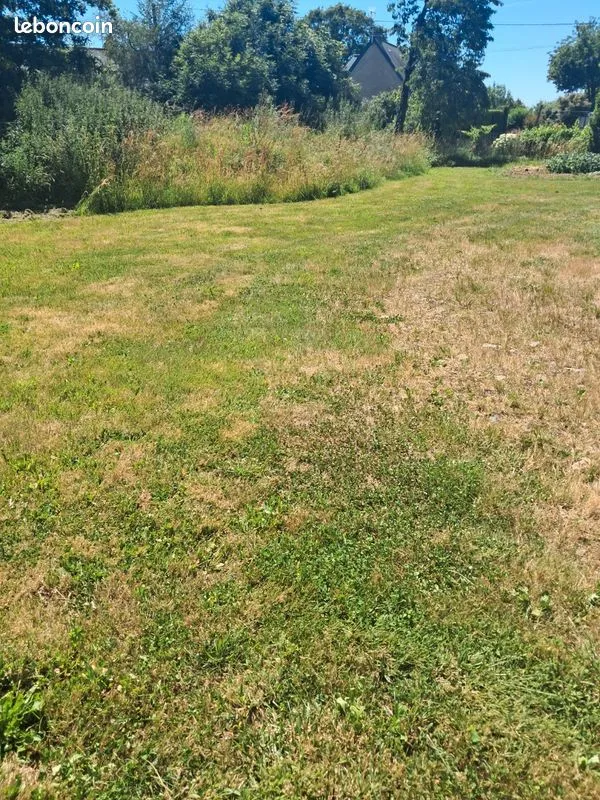 Terrain