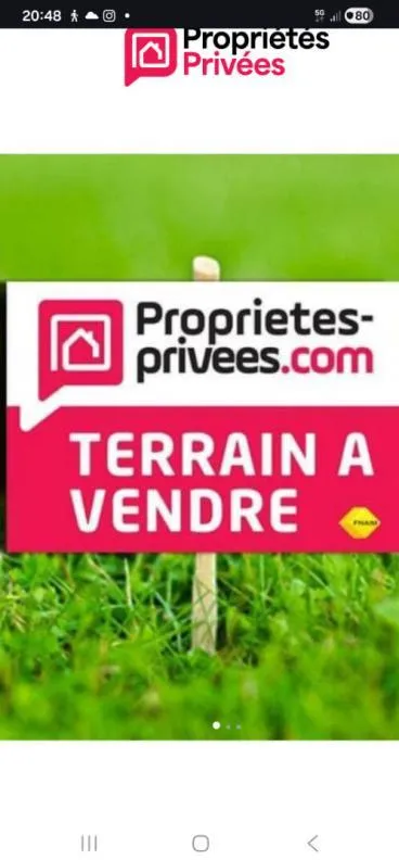 Terrain