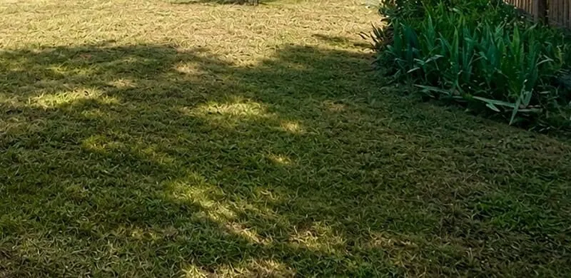 Terrain