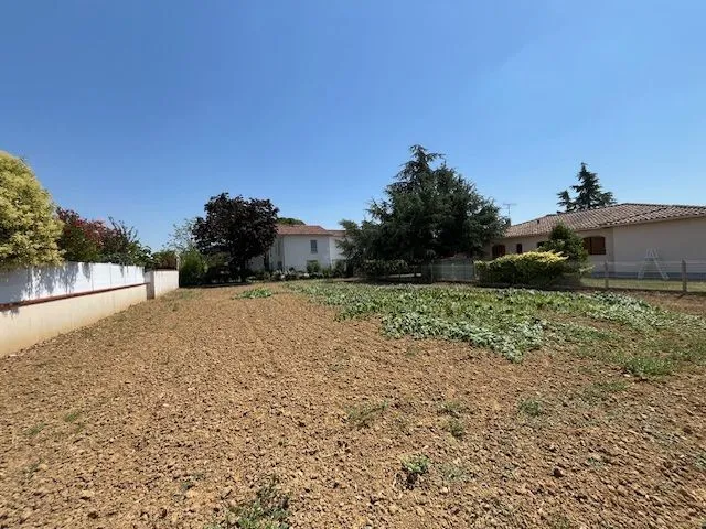 Terrain