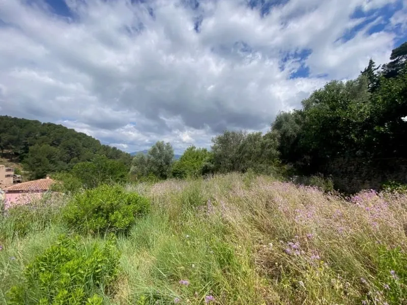 Terrain