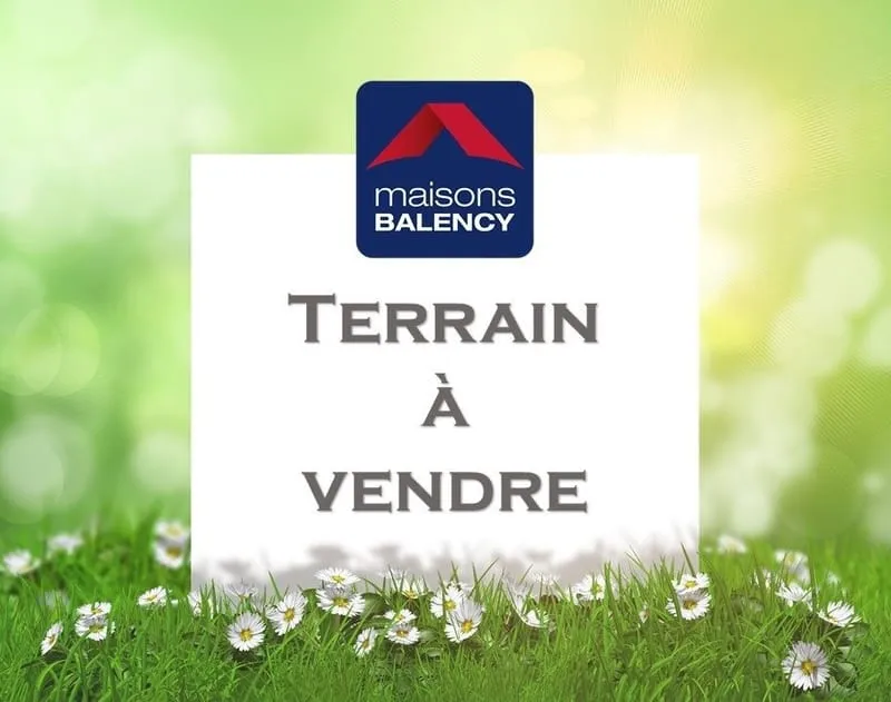 Terrain