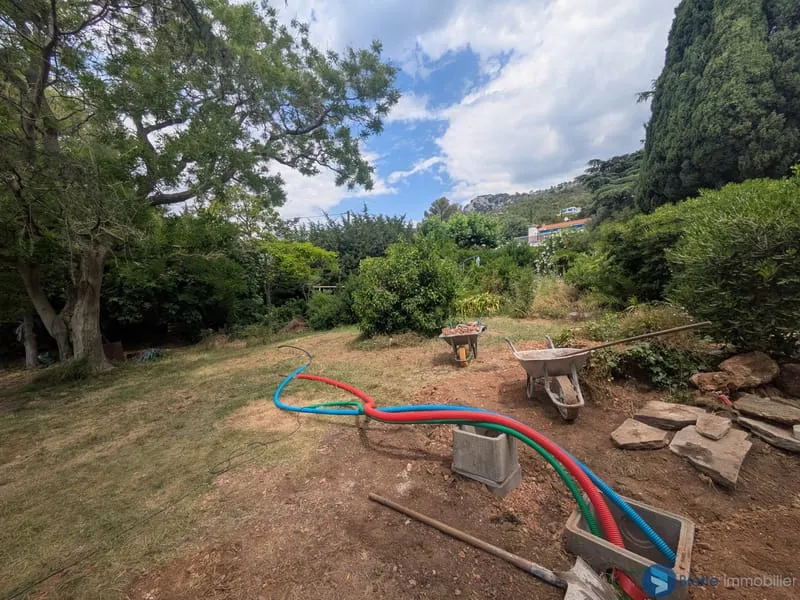 Terrain