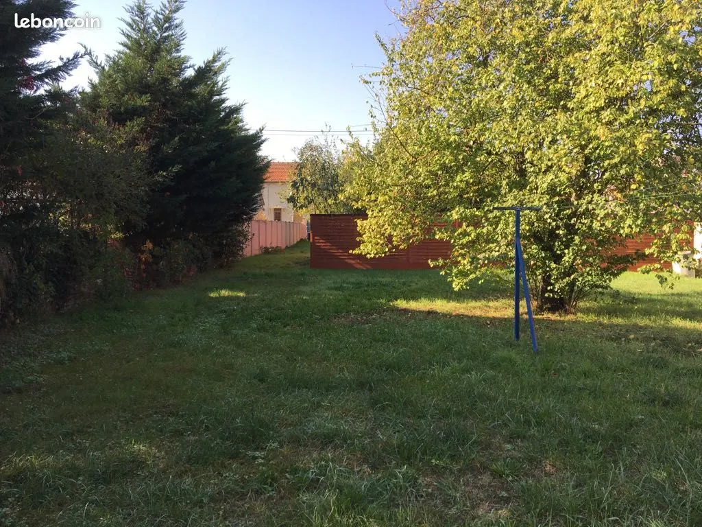 Terrain