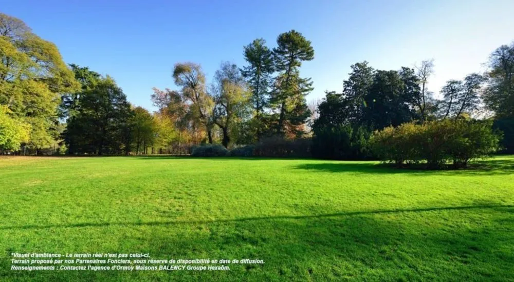 Terrain