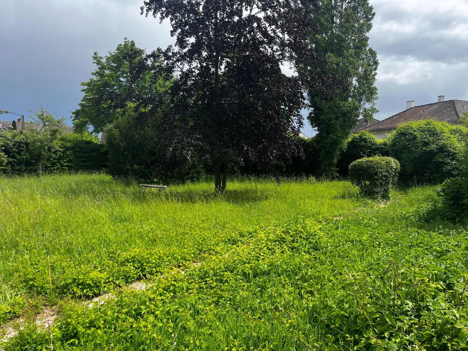 Terrain