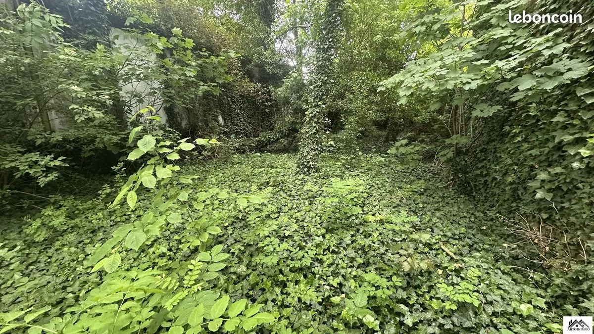 Terrain