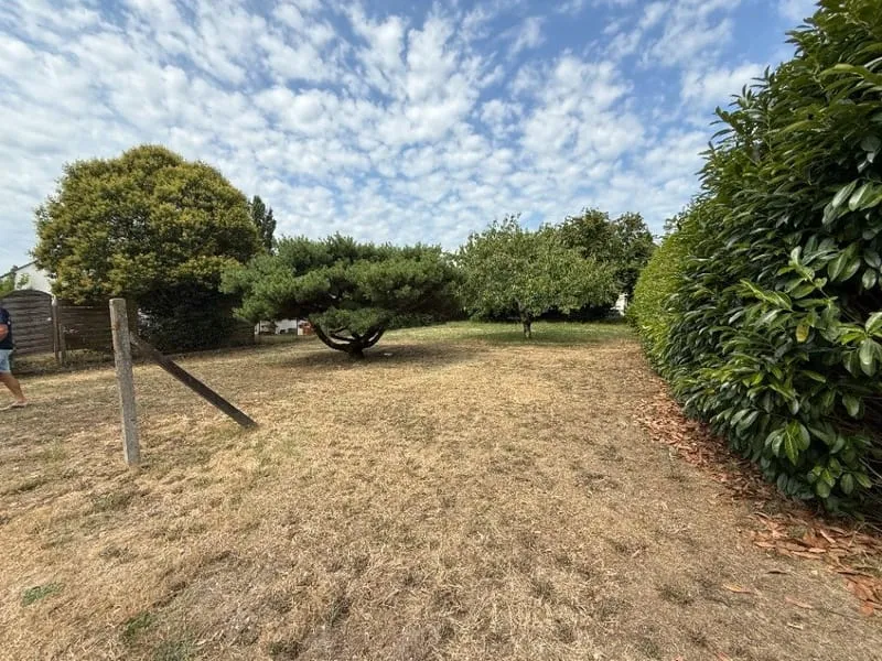 Terrain