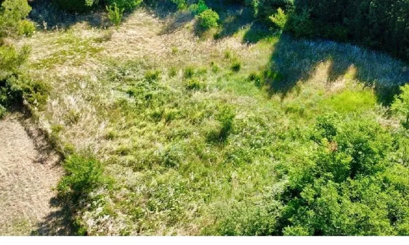 Terrain