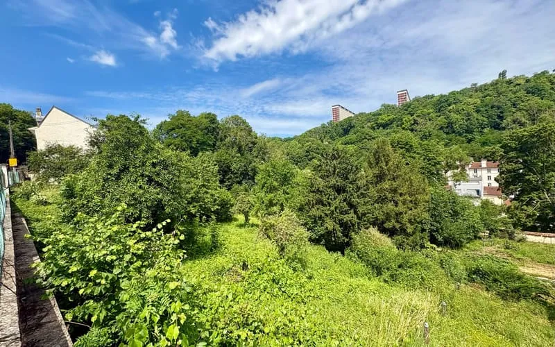 Terrain