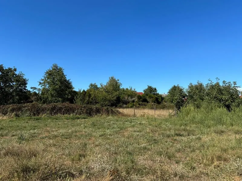 Terrain
