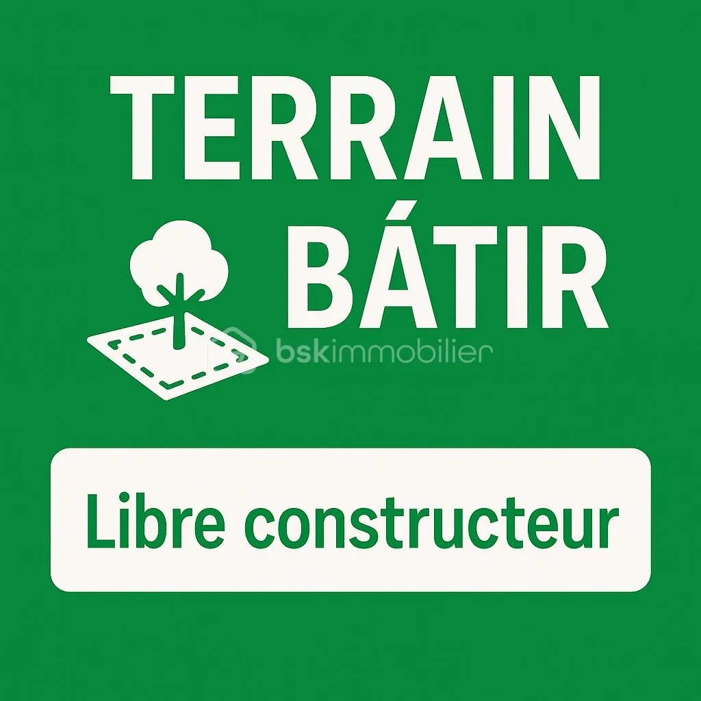 Terrain
