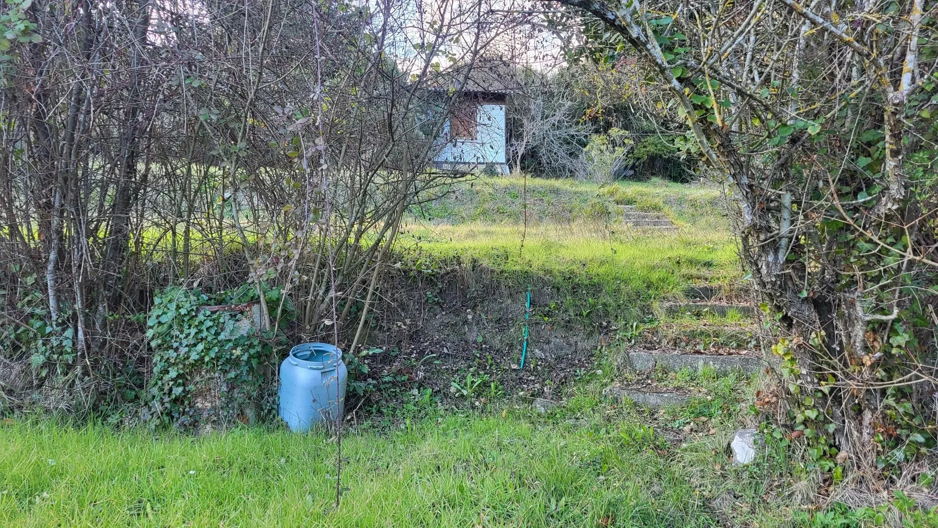 Terrain