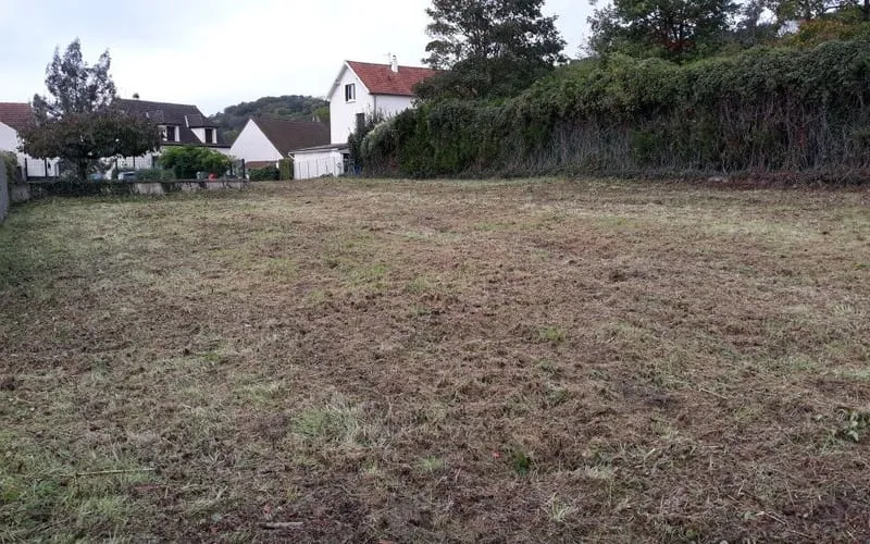 Terrain