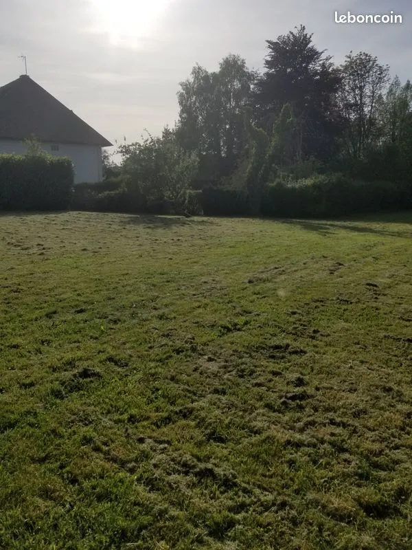 Terrain