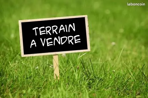 Terrain