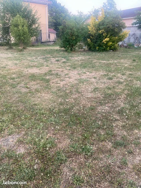 Terrain