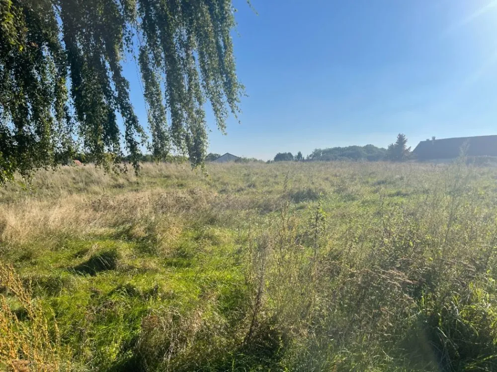 Terrain