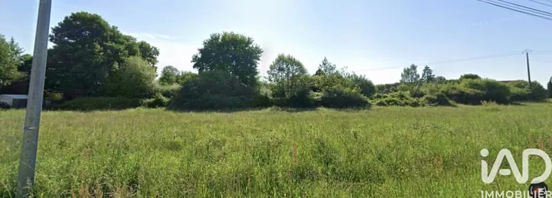 Terrain