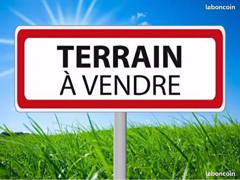 Terrain