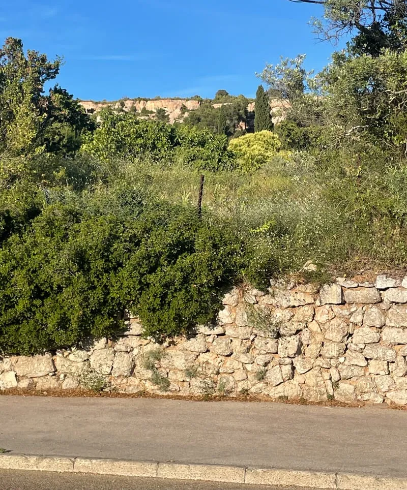 Terrain
