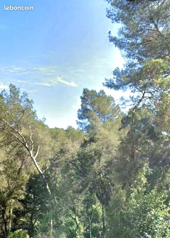 Terrain