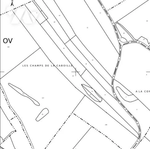 Terrain