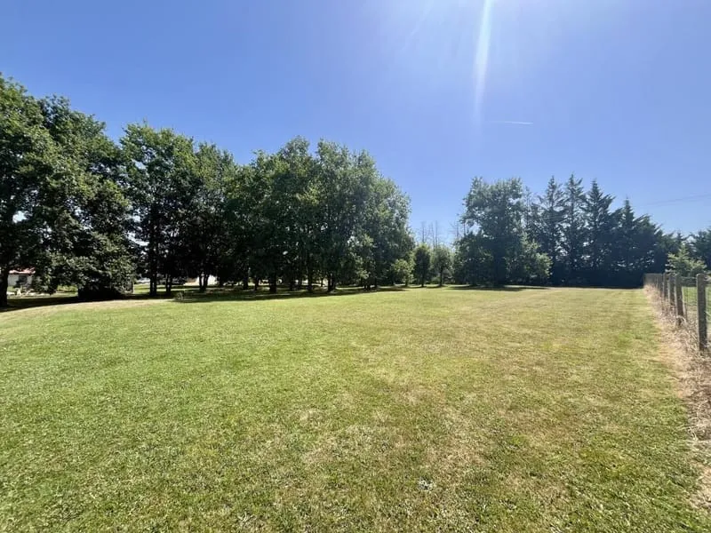 Terrain