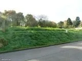 Terrain