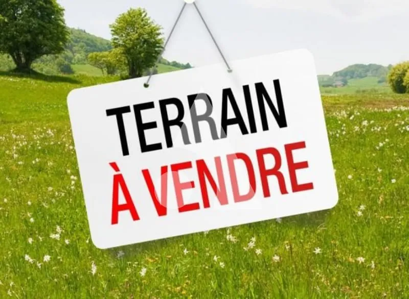 Terrain