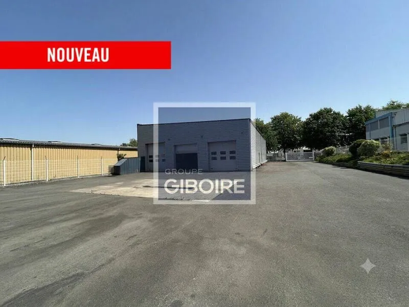 Local d'activité