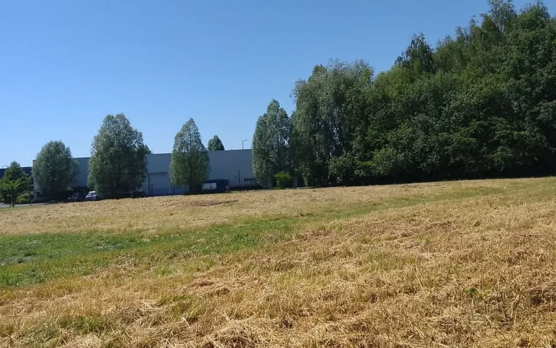 Terrain