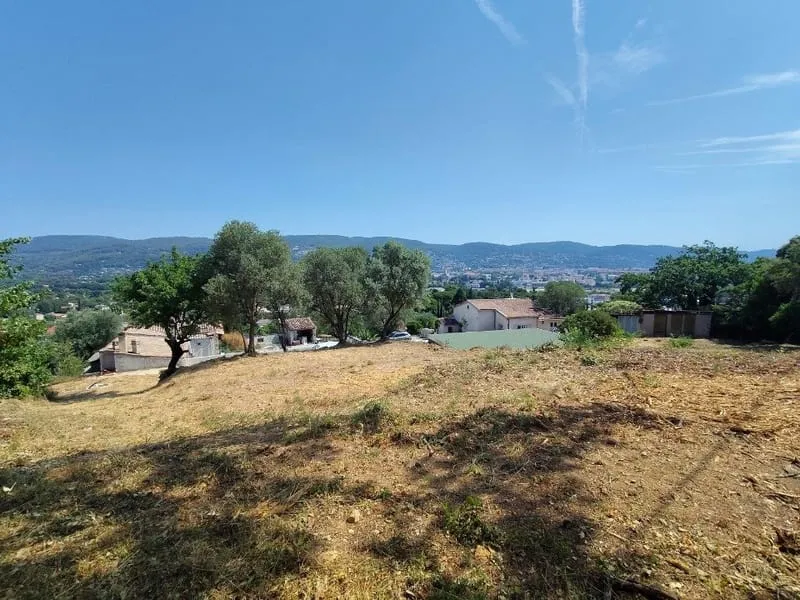 Terrain