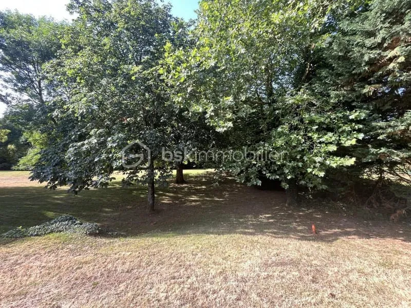 Terrain