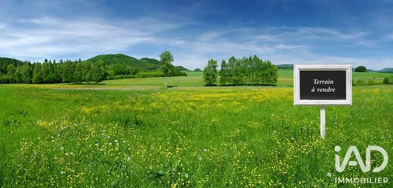 Terrain