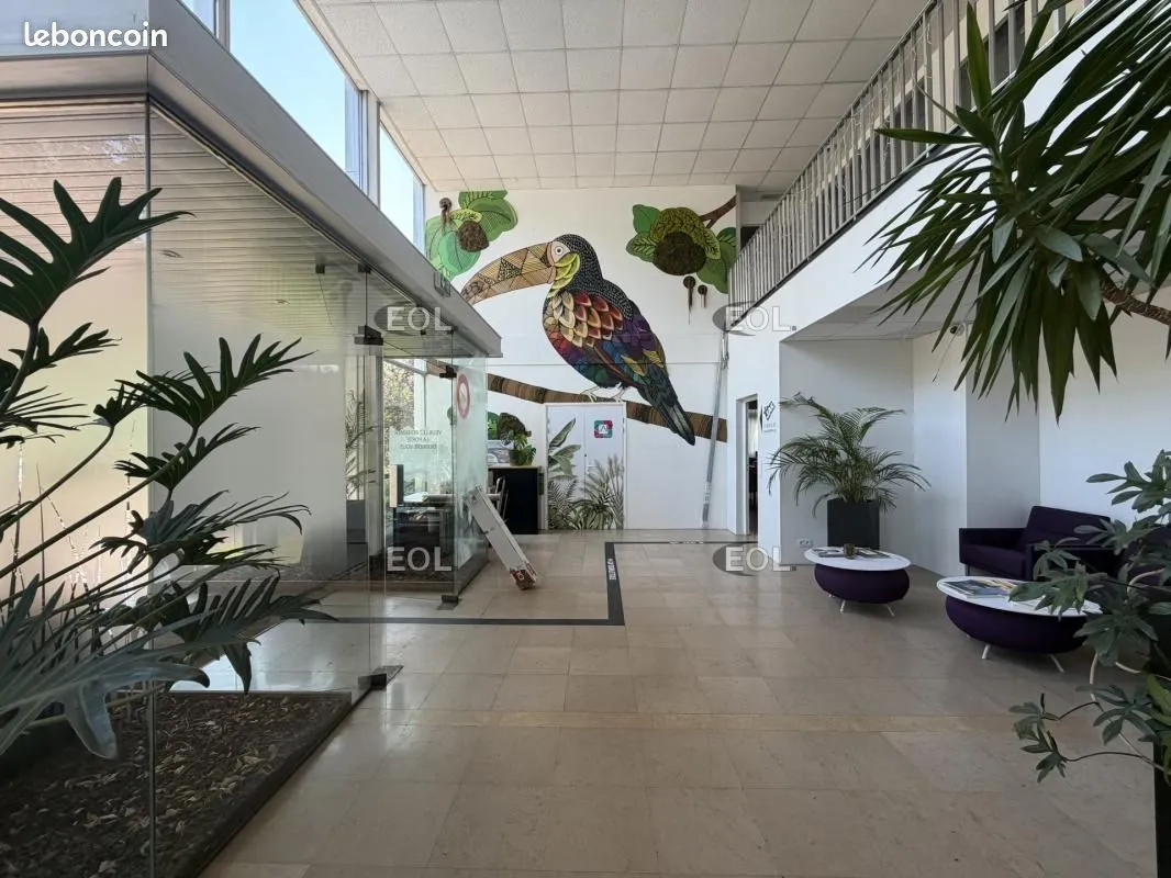 Local d'activité