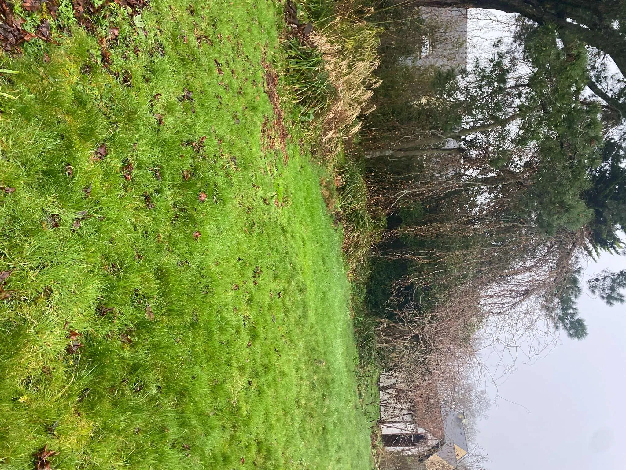Terrain