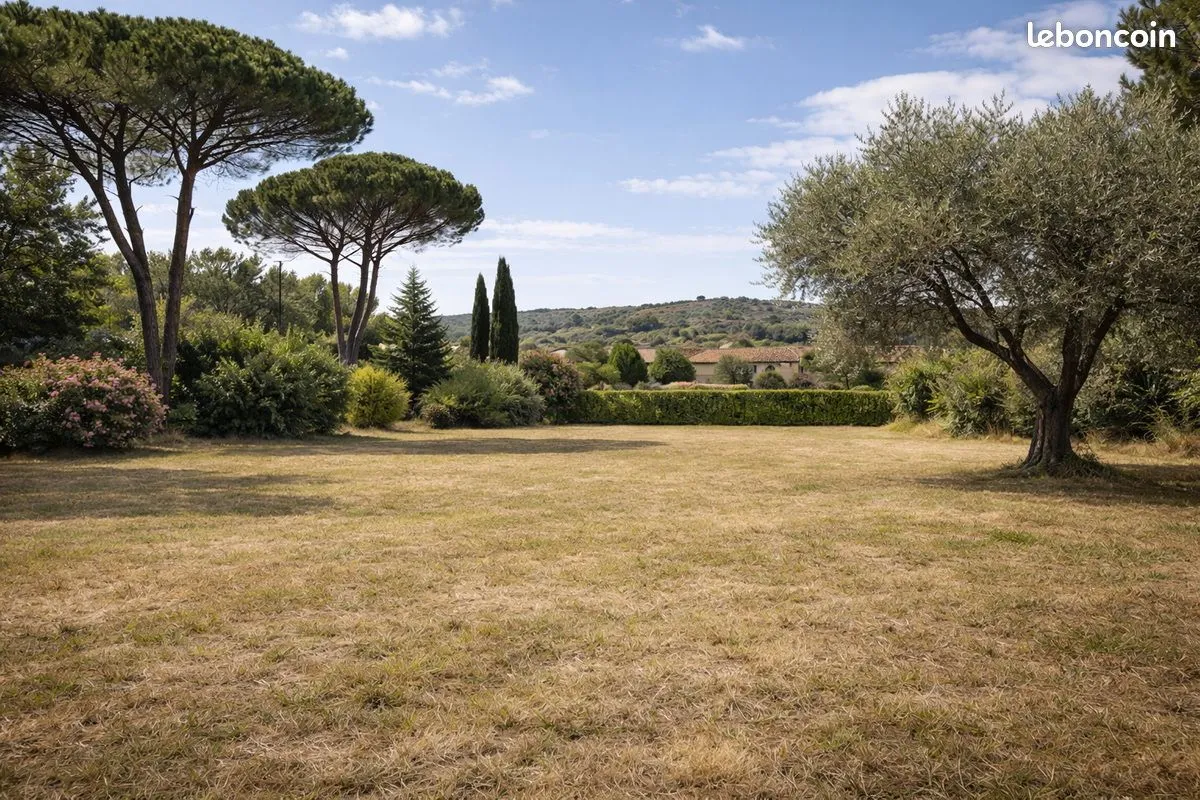 Terrain