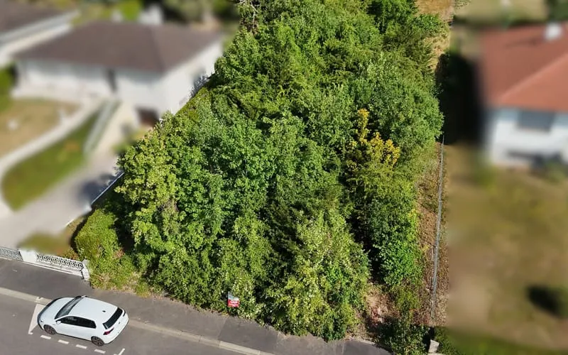 Terrain