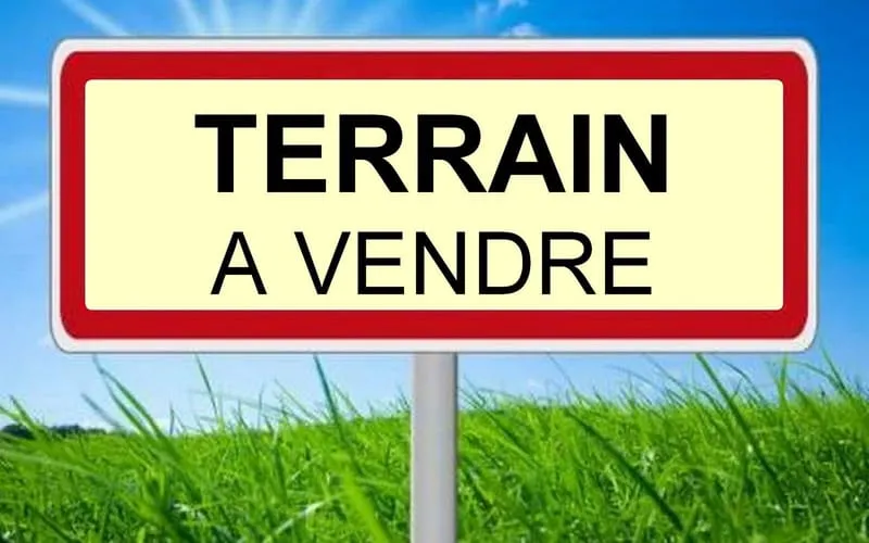 Terrain