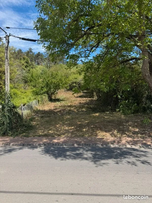 Terrain