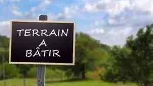Terrain