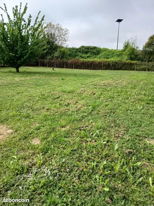 Terrain