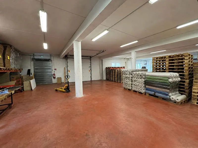 Local d'activité