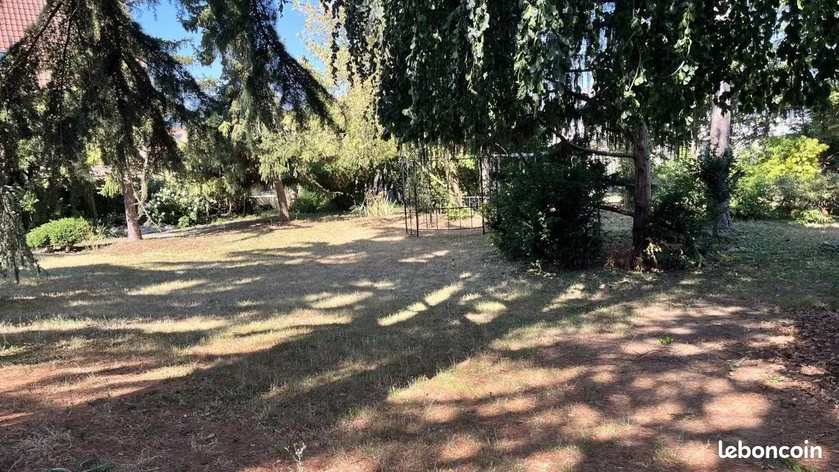 Terrain