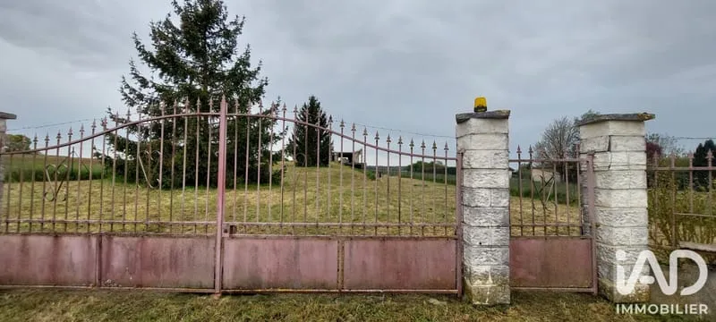 Terrain