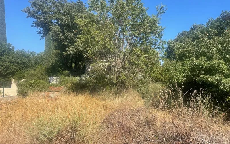 Terrain